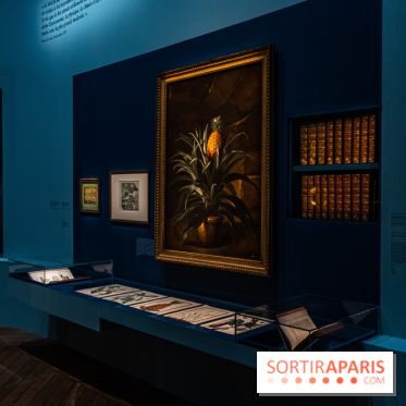 Exposition Louis XV au Château de Versailles - vélins du roi