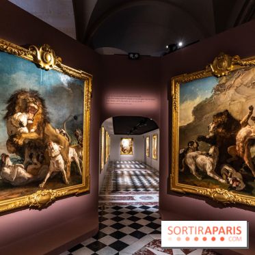 Exposition Louis XV au Château de Versailles - le roi chasseur - lion d'afrique - ours de Pologne - jean Jacques bachelier