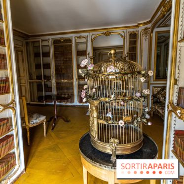 Les appartements de Madame Du Barry restaurés au Château de Versailles - bibliothèque