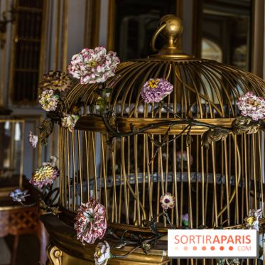 Les appartements de Madame Du Barry restaurés au Château de Versailles - bibliothèque