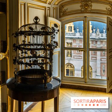 Les appartements de Madame Du Barry restaurés au Château de Versailles - bibliothèque