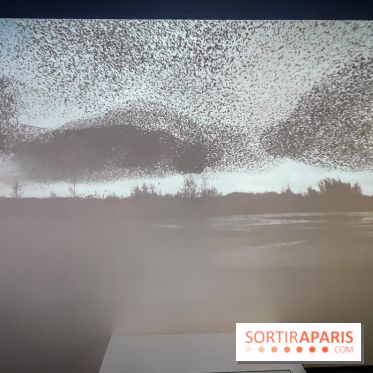 Foules, l'exposition interactive de la Cité des Sciences et de l'Industrie - nos photos