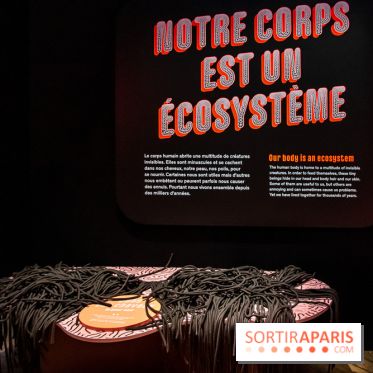 Mini-monstres, nos photos de l'exposition à la galerie de Géologie du Muséum d'Histoire naturelle