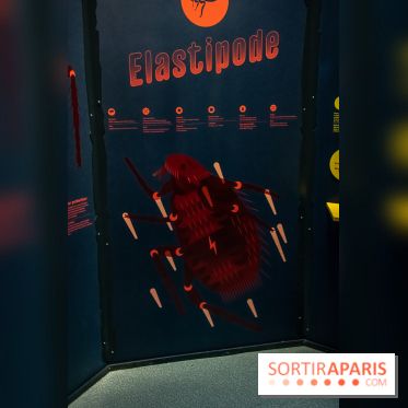 Mini-monstres, nos photos de l'exposition à la galerie de Géologie du Muséum d'Histoire naturelle