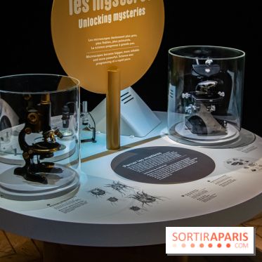 Mini-monstres, nos photos de l'exposition à la galerie de Géologie du Muséum d'Histoire naturelle