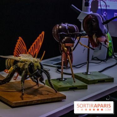 Mini-monstres, nos photos de l'exposition à la galerie de Géologie du Muséum d'Histoire naturelle