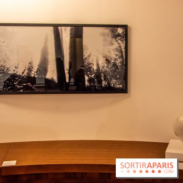 L'Asie Maintenant 2022, l'exposition en partenariat avec Asia Now au Musée Guimet