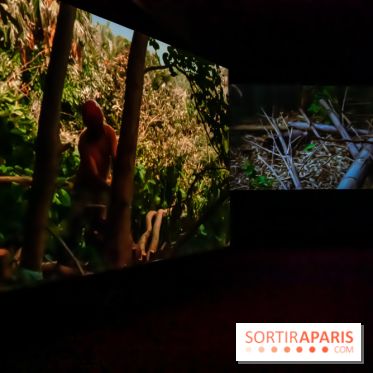 Exposition au Palais de Tokyo : Shéhérazade, la nuit - nos photos