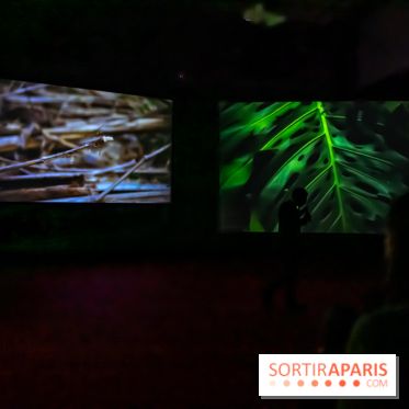 Exposition au Palais de Tokyo : Shéhérazade, la nuit - nos photos