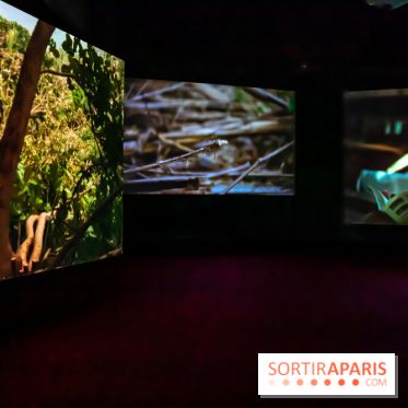Exposition au Palais de Tokyo : Shéhérazade, la nuit - nos photos