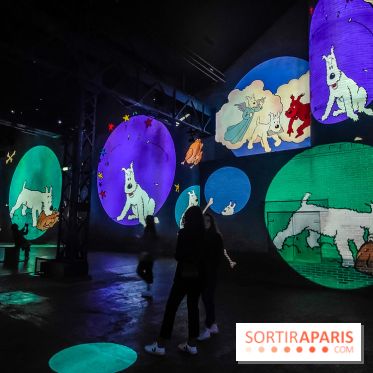 Tintin, l'aventure immersive à l'Atelier des Lumières : l'exposition insolite à vivre - nos photos