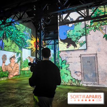 Tintin, l'aventure immersive à l'Atelier des Lumières : l'exposition insolite à vivre - nos photos