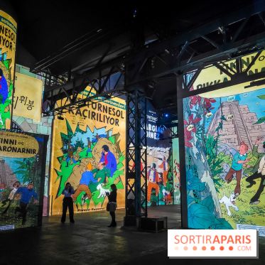 Tintin, l'aventure immersive à l'Atelier des Lumières : l'exposition insolite à vivre - nos photos