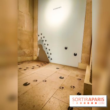 Le monde de Clovis, l'exposition dont vous êtes le héros au musée d'Archéologie nationale - photos