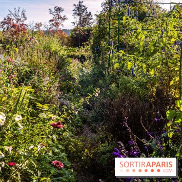 Les Jardins de la Maison Claude Monet à l'automne