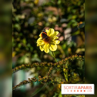 Les Jardins de la Maison Claude Monet à l'automne