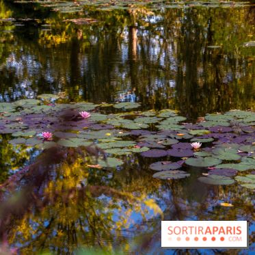 Les Jardins de la Maison Claude Monet à l'automne