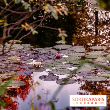 Les Jardins de la Maison Claude Monet à l'automne