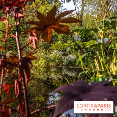 Les Jardins de la Maison Claude Monet à l'automne