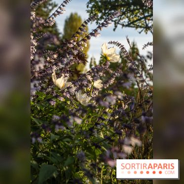 Les Jardins de la Maison Claude Monet à l'automne