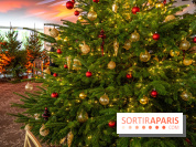 Visuels Noël - sapin