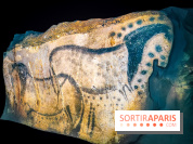 Arts et Préhistoire, l'exposition de peintures rupestres au Musée de l'Homme - nos photos