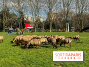 Transhumance à la Villette - E0C1AEB3 FEBD 45CF 88A2 0C8320DD6F8A