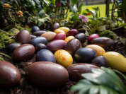 Visuels chasse aux oeufs de Pâques  - Chasse aux oeufs de Pâques chocolats (2)