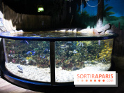 Aquarium Sea Life