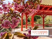 Square Médéric Colombes - jardin japonais 92 -  A7C9962