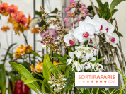 Esprit Jardin à Versailles - Marché aux plantes et animations