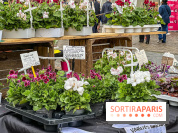 Esprit Jardin à Versailles - Marché aux plantes et animations