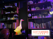 Griffon - Visuels - IMG 3794