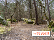 Barbizon, le village entre art et nature