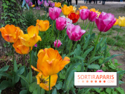 Wat Thammapatip Inrernational : la pagode bouddhiste et sa street food thaï, à Moissy-Cramayel - 50F5D52D D5E6 4A7B 9504 9907D05269BF