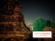 Nuit Blanche 2023 : des projections lumineuses magiques au Square du Vert Galant de l'Île de la Cité - IMG20230603001252