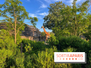 Nocturnes au Parc Zoologique de Paris - IMG 3513