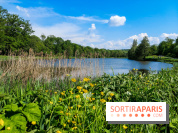 Balade nature dans la forêt de Montmorency, nos photos