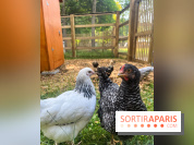 La ferme de la Villette et ses animaux