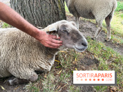 La ferme de Saint-Cyr l'Ecole - image00075