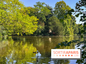 Les lacs et rivières du Vésinet, dans les Yvelines - image00052