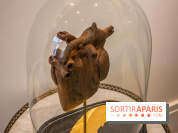 Exposition Organessence Ono galerie La Lison