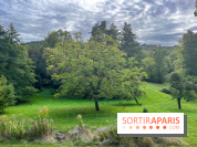 La maison littéraire de Victor Hugo, joyau patrimonial à Bièvres (91) - image00016