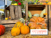 Automne au Potager du Roi - Citrouilles - Halloween