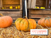 Automne au Potager du Roi - Citrouilles - Halloween