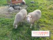La ferme pédagogique du parc des Chanteraines