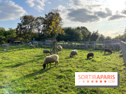 La ferme pédagogique du parc des Chanteraines