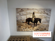 Sara-Vide Ericson : les photos de son expo à l'Institut suédois