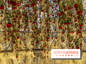 Tea Time de Saint-Valentin du Four Seasons George V Paris 2024