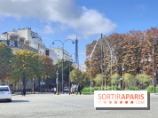 Visuel Paris 8e - Champs Elysées Tour Eiffel automne